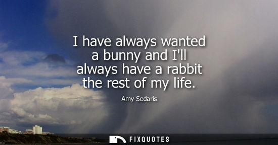Small: I have always wanted a bunny and Ill always have a rabbit the rest of my life