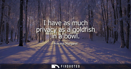 Small: I have as much privacy as a goldfish in a bowl