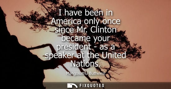 Small: I have been in America only once since Mr. Clinton became your president - as a speaker at the United N