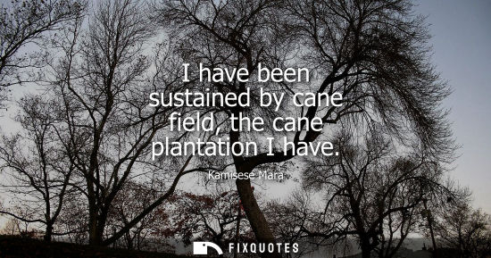 Small: I have been sustained by cane field, the cane plantation I have