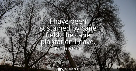 Small: I have been sustained by cane field, the cane plantation I have