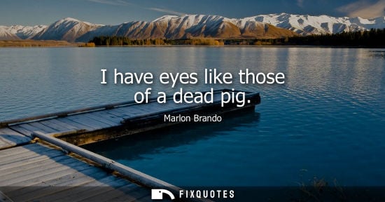 Small: I have eyes like those of a dead pig
