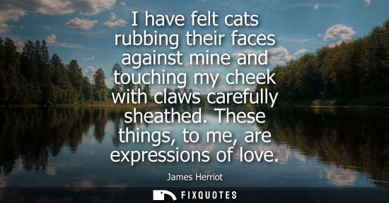 Small: I have felt cats rubbing their faces against mine and touching my cheek with claws carefully sheathed. 