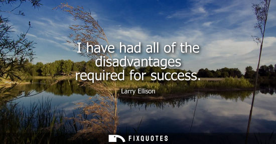 Small: I have had all of the disadvantages required for success - Larry Ellison