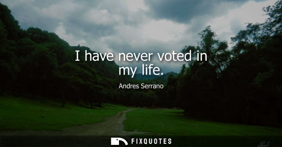 Small: I have never voted in my life - Andres Serrano
