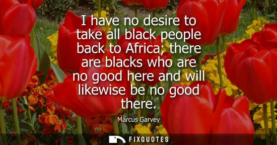 Small: I have no desire to take all black people back to Africa there are blacks who are no good here and will likewi