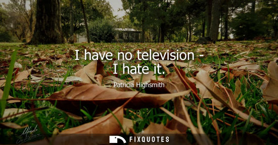 Small: I have no television - I hate it