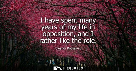 Small: I have spent many years of my life in opposition, and I rather like the role