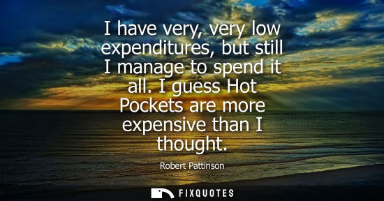 Small: I have very, very low expenditures, but still I manage to spend it all. I guess Hot Pockets are more ex