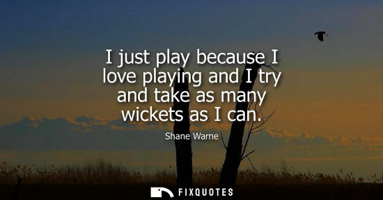 Small: Shane Warne: I just play because I love playing and I try and take as many wickets as I can