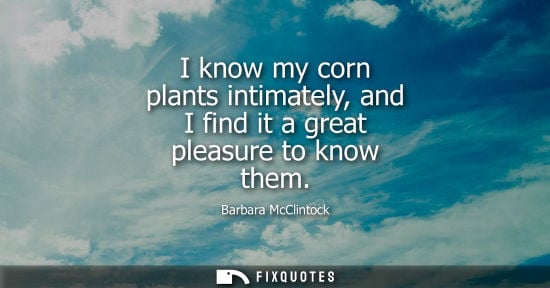 Small: I know my corn plants intimately, and I find it a great pleasure to know them