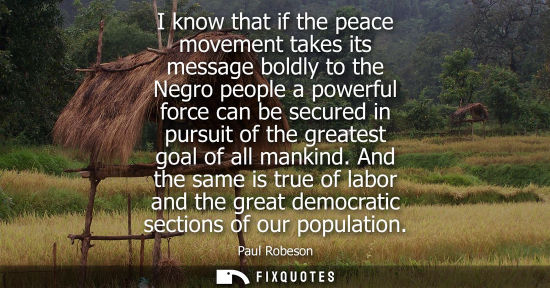 Small: I know that if the peace movement takes its message boldly to the Negro people a powerful force can be 