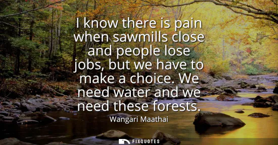 Small: I know there is pain when sawmills close and people lose jobs, but we have to make a choice. We need water and
