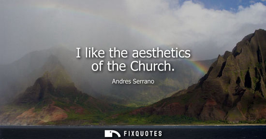 Small: I like the aesthetics of the Church - Andres Serrano