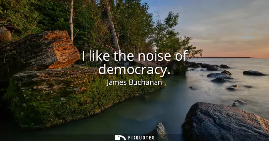 Small: I like the noise of democracy