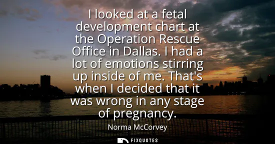 Small: I looked at a fetal development chart at the Operation Rescue Office in Dallas. I had a lot of emotions stirri