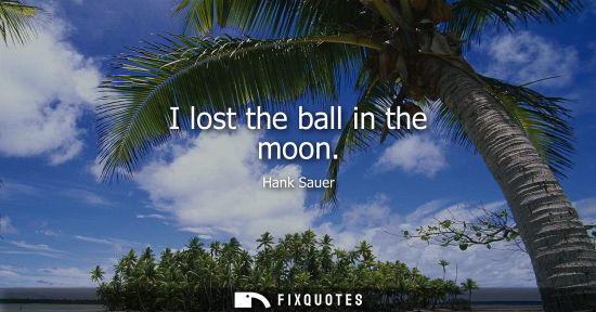 Small: I lost the ball in the moon