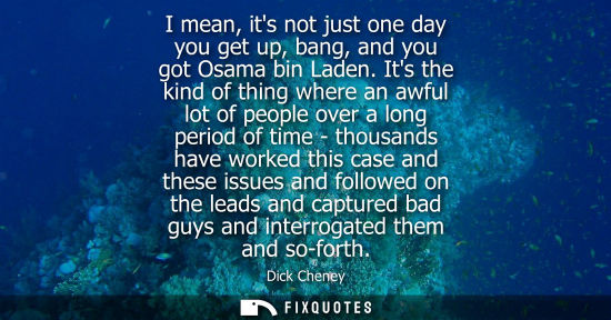 Small: I mean, its not just one day you get up, bang, and you got Osama bin Laden. Its the kind of thing where