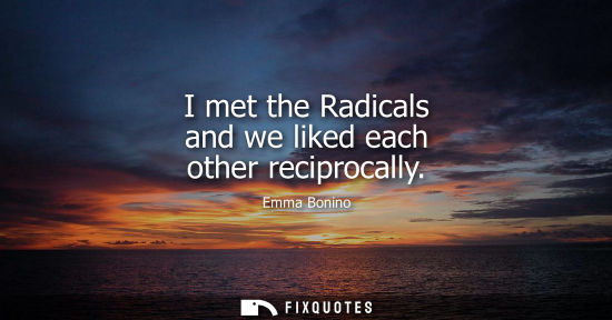 Small: I met the Radicals and we liked each other reciprocally