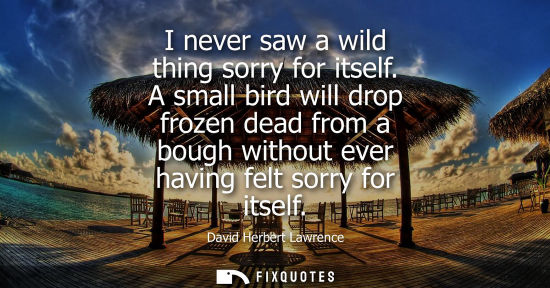 Small: I never saw a wild thing sorry for itself. A small bird will drop frozen dead from a bough without ever
