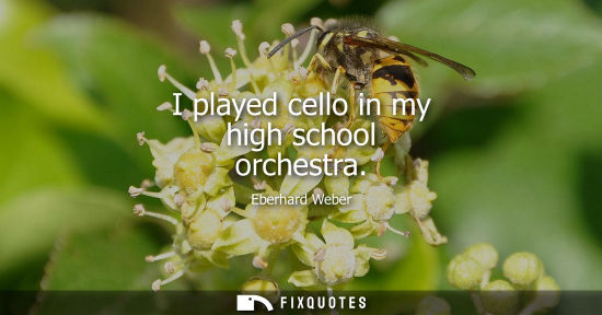 Small: I played cello in my high school orchestra
