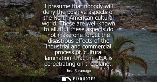 Small: I presume that nobody will deny the positive aspects of the North American cultural world. These are well know