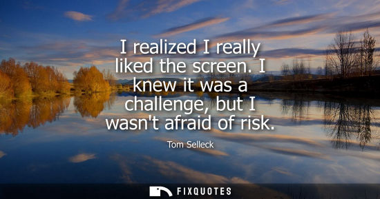 Small: I realized I really liked the screen. I knew it was a challenge, but I wasnt afraid of risk
