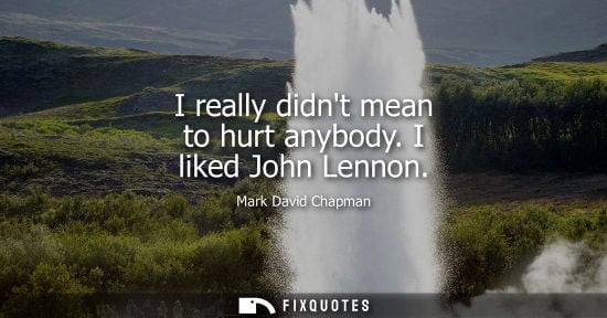 Small: I really didnt mean to hurt anybody. I liked John Lennon - Mark David Chapman