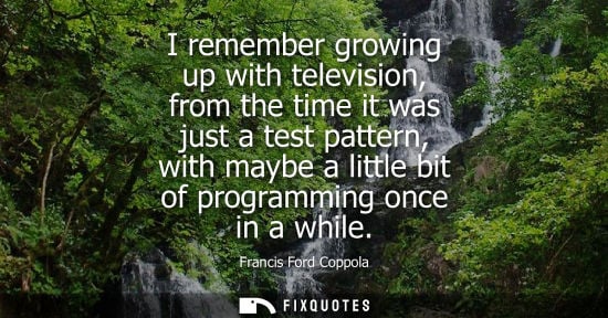 Small: I remember growing up with television, from the time it was just a test pattern, with maybe a little bi