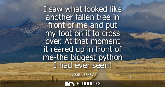 Small: I saw what looked like another fallen tree in front of me and put my foot on it to cross over.