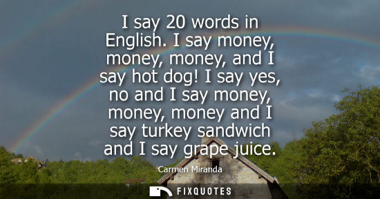 Small: I say 20 words in English. I say money, money, money, and I say hot dog! I say yes, no and I say money,