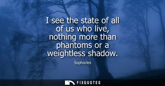 Small: I see the state of all of us who live, nothing more than phantoms or a weightless shadow