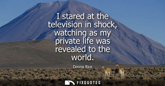 Small: I stared at the television in shock, watching as my private life was revealed to the world