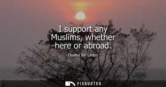 Small: I support any Muslims, whether here or abroad - Osama bin Laden