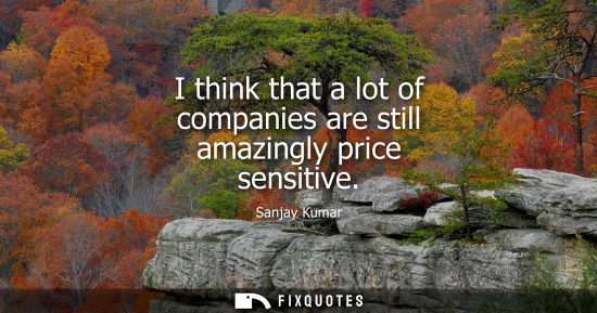 Small: I think that a lot of companies are still amazingly price sensitive