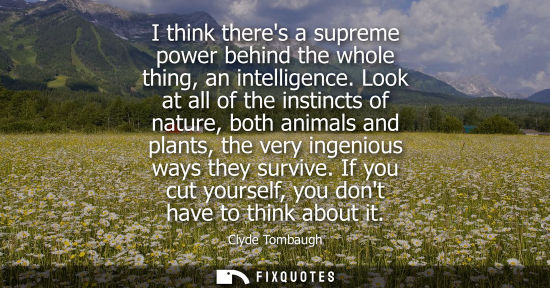Small: I think theres a supreme power behind the whole thing, an intelligence. Look at all of the instincts of