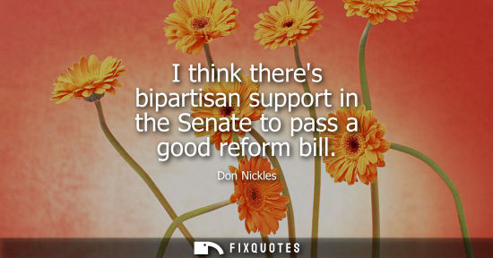 Small: I think theres bipartisan support in the Senate to pass a good reform bill