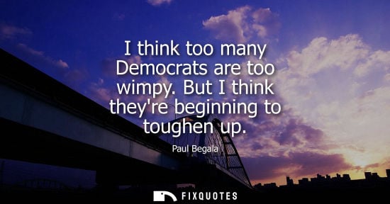 Small: I think too many Democrats are too wimpy. But I think theyre beginning to toughen up