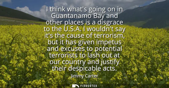 Small: I think whats going on in Guantanamo Bay and other places is a disgrace to the U.S.A. I wouldnt say its the ca