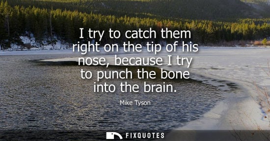 Small: I try to catch them right on the tip of his nose, because I try to punch the bone into the brain