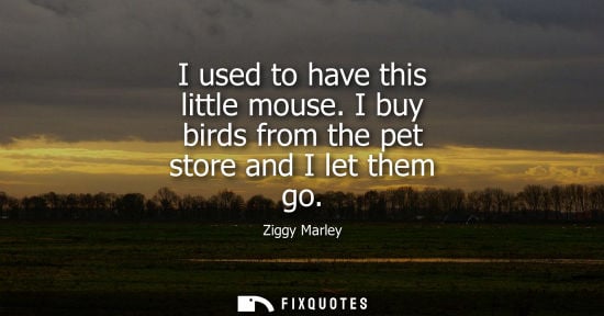 Small: I used to have this little mouse. I buy birds from the pet store and I let them go