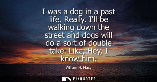 Small: I was a dog in a past life. Really. Ill be walking down the street and dogs will do a sort of double ta