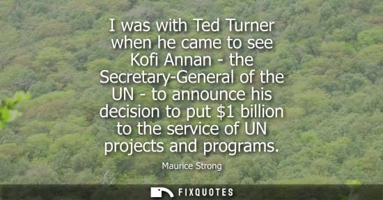 Small: I was with Ted Turner when he came to see Kofi Annan - the Secretary-General of the UN - to announce hi