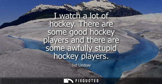 Small: I watch a lot of hockey. There are some good hockey players and there are some awfully stupid hockey pl