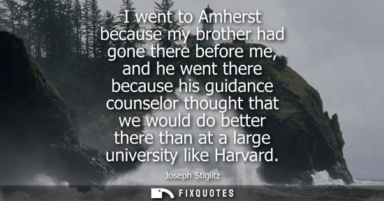 Small: I went to Amherst because my brother had gone there before me, and he went there because his guidance c