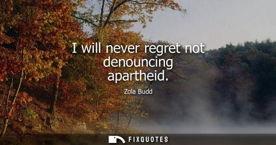 Small: I will never regret not denouncing apartheid