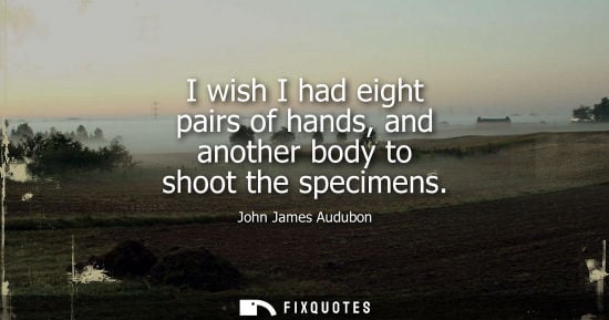 Small: I wish I had eight pairs of hands, and another body to shoot the specimens