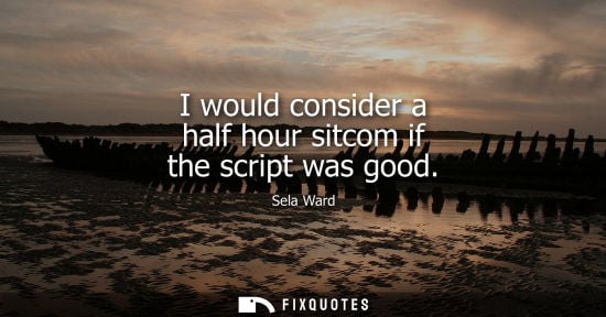 Small: I would consider a half hour sitcom if the script was good - Sela Ward