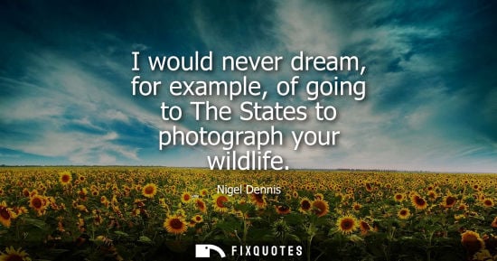 Small: I would never dream, for example, of going to The States to photograph your wildlife