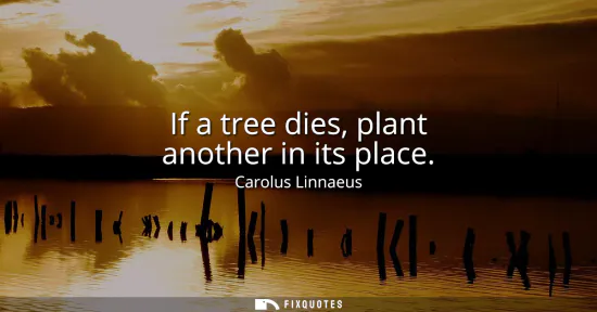 Small: If a tree dies, plant another in its place